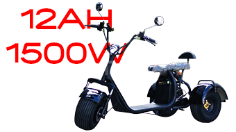 Electric tricycle HARLEY E-TR TS-H17 1500W 60V